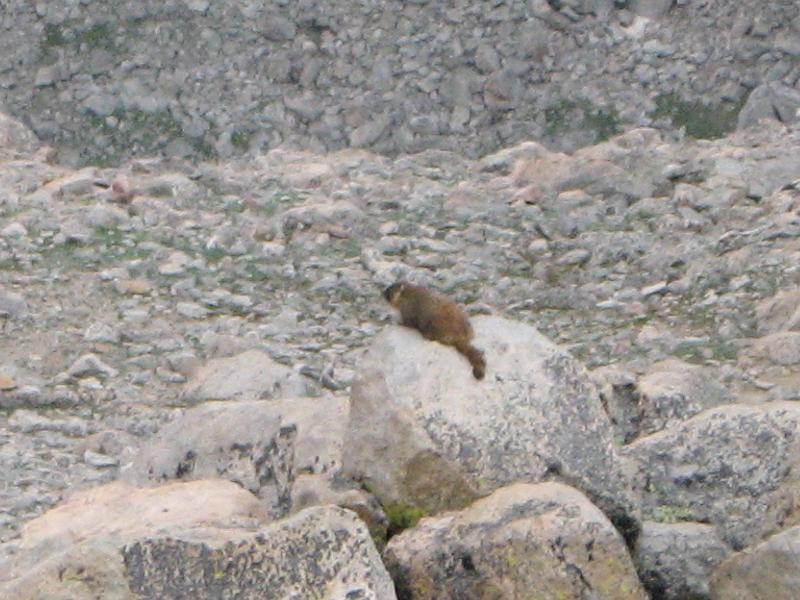 Mt Evans 045.JPG